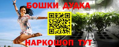 гидра Рыбинск