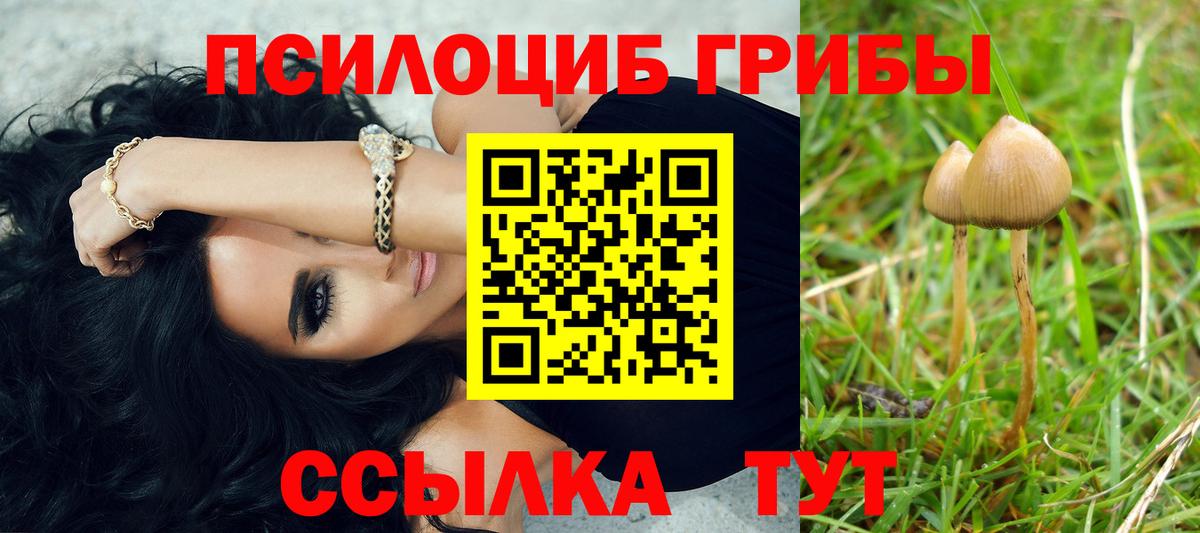 Псилоцибиновые грибы ЛСД Санкт-Петербург