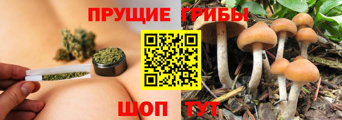Галлюциногенные грибы Psilocybine cubensis  Галлюциногенные грибы GOLDEN TEACHER  Санкт-Петербург  Вход с VPN 